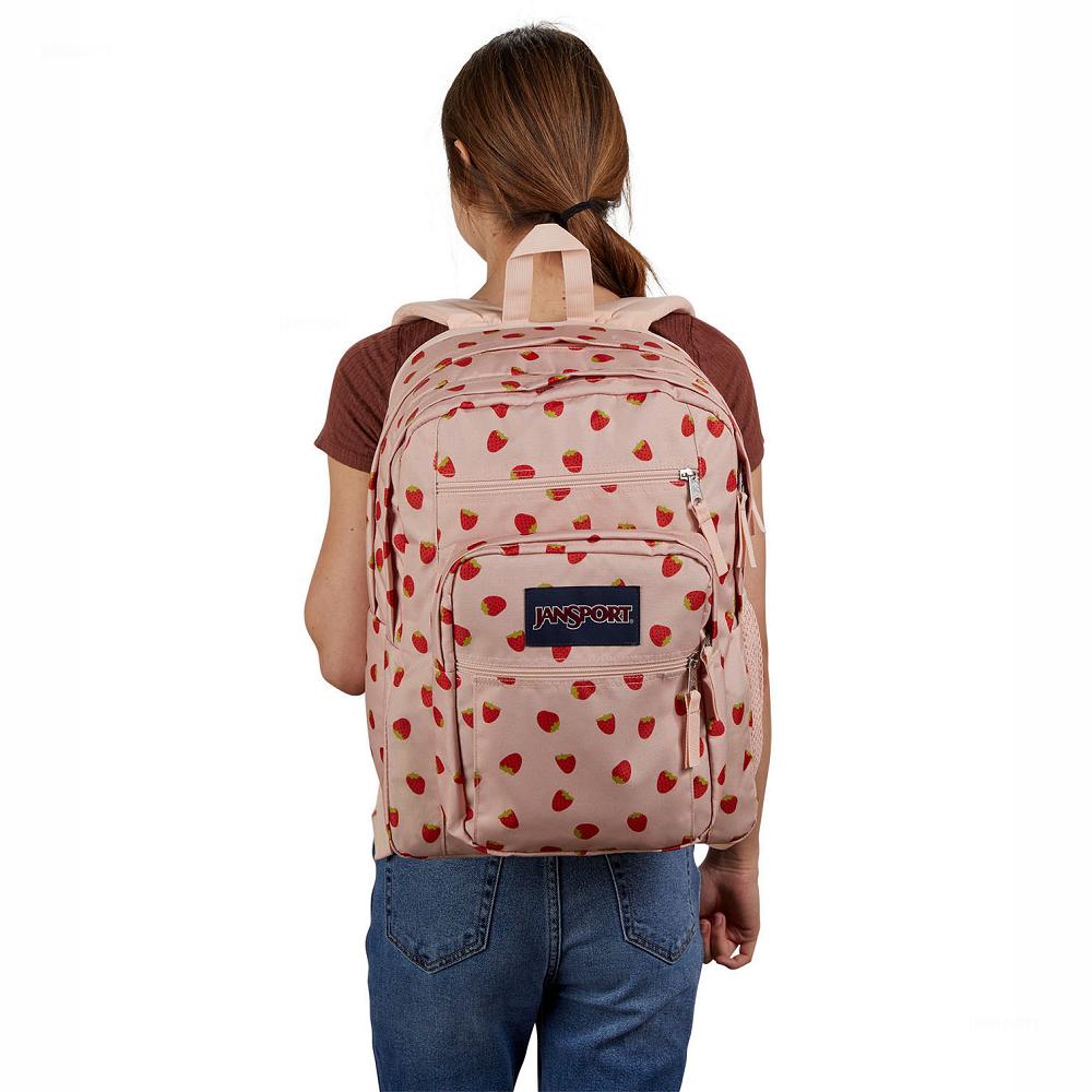 Sac à Dos Ordinateur JanSport BIG STUDENT Rose Rouge | LYJ-26480962